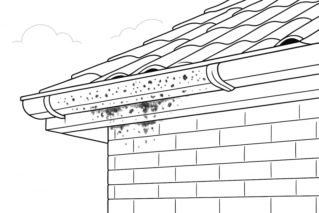 gutters which have mould and algae growth on them